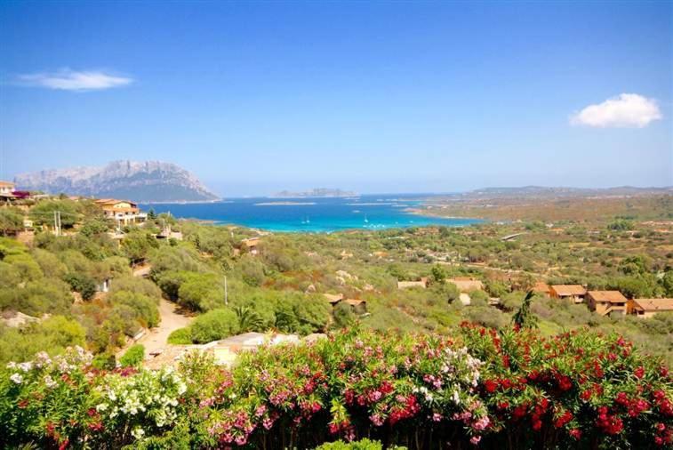 Villa And Pool Tavolara View Porto Istana Exterior foto